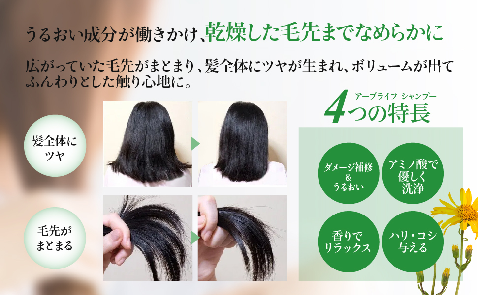 アーブライフ シャンプー ヘアケア 通販 メイコー化粧品オンラインショップ