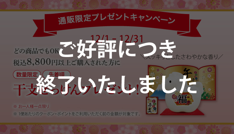 750x430_towelcam2509_end.jpg